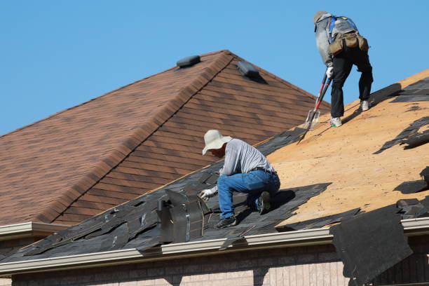 Best Roof Maintenance and Cleaning  in Kenner, LA